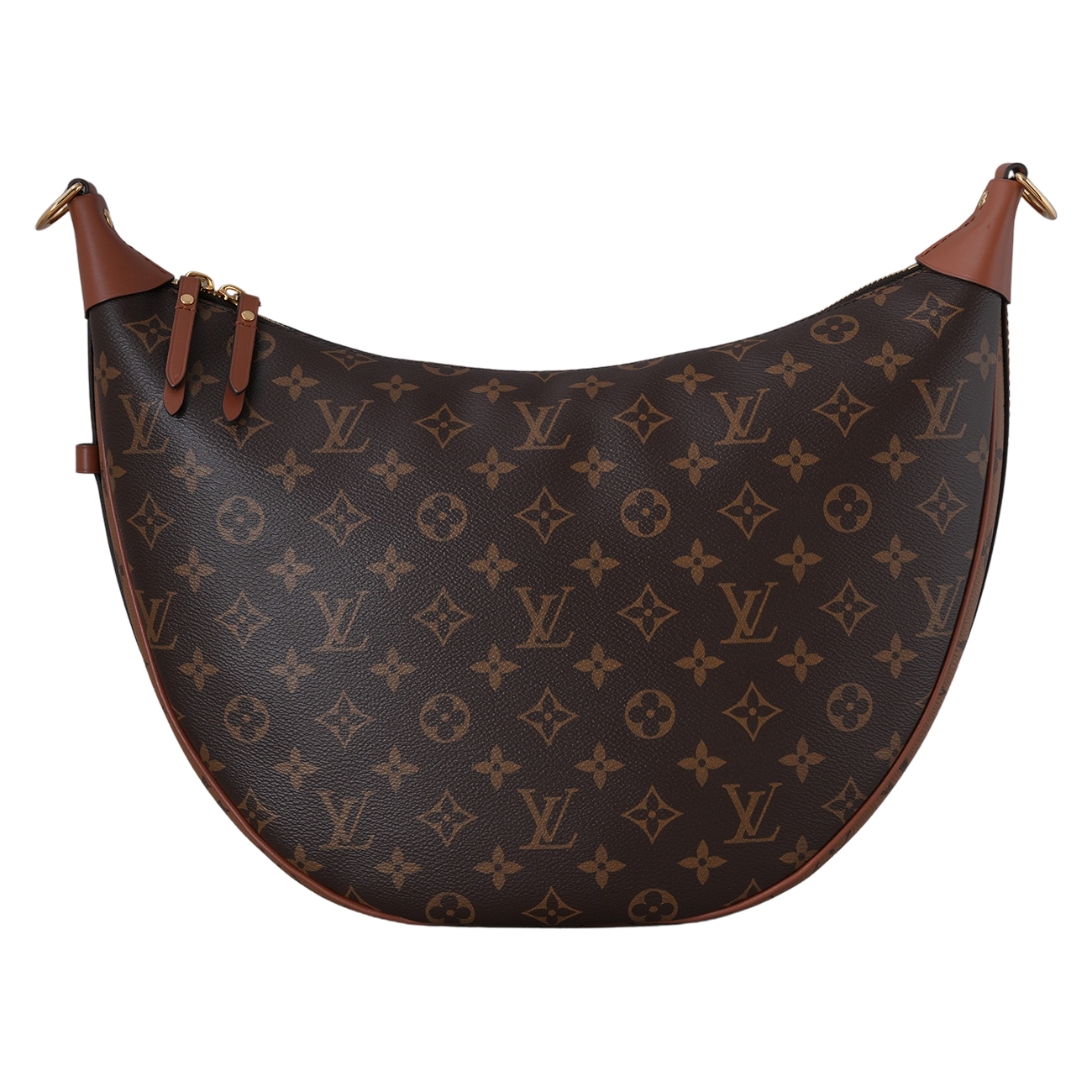 LOUIS VUITTON(USED)루이비통 M46311 모노그램 루프 호보백